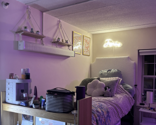 Jasmine Shattuck uses throw pillows to add comfort to her living space.
